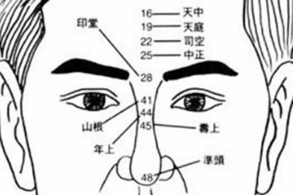 男人门牙大的命运解析：从面相看人生轨迹与性格特征