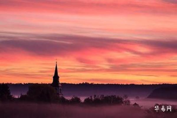 探索森林木命：命运与性格的奥秘解读