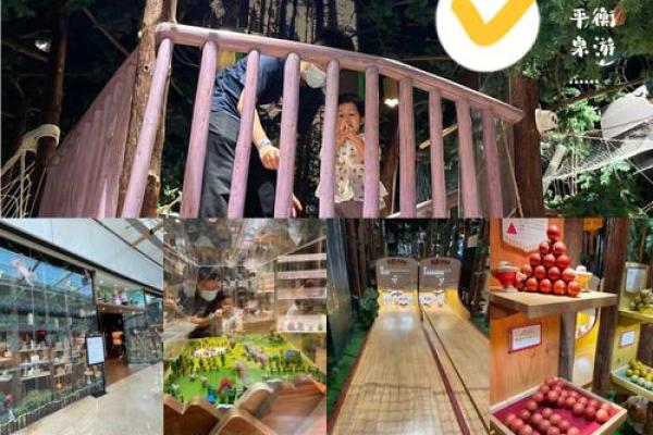 探索森林木命：命运与性格的奥秘解读