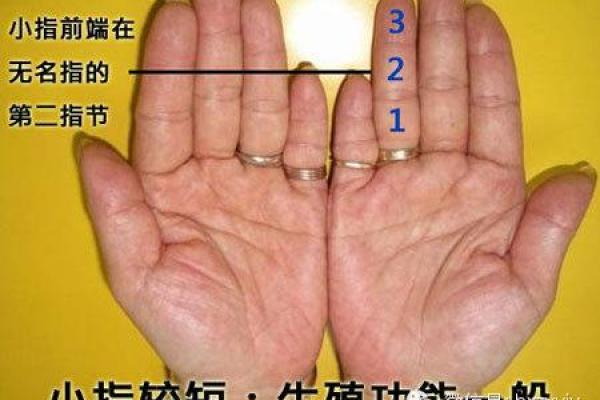 1952年兔年出生的人命运解析：智慧与机遇的双重契机