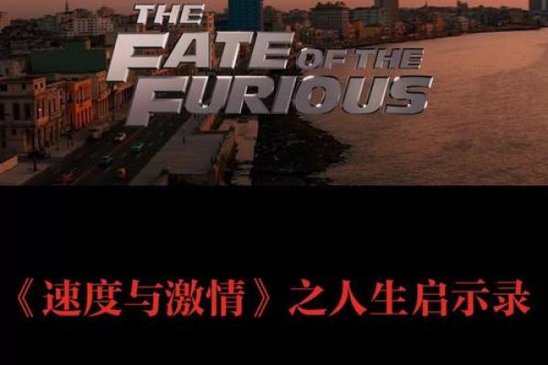 探寻“什么命一”的深意与人生启示
