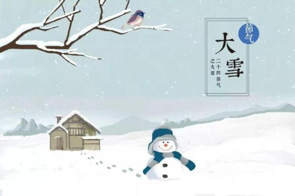 桐字的含义与命运的深刻联系探秘