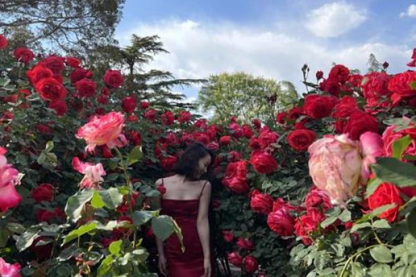 丰盈身材与命格之美:揭示女性魅力的秘密 丰盈身材与命格之美:揭示女性魅力的秘密