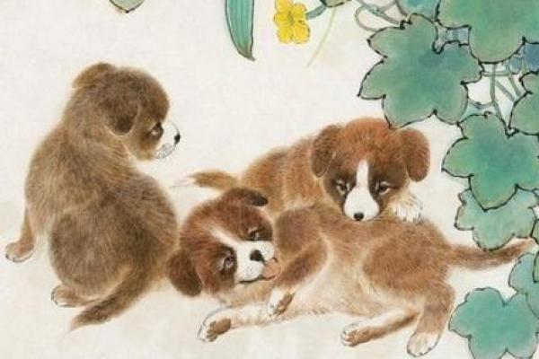 86岁属狗人的命运与人生智慧探索