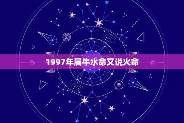 属牛61年是金命还是其他命？探讨生肖命理的奥秘与智慧
