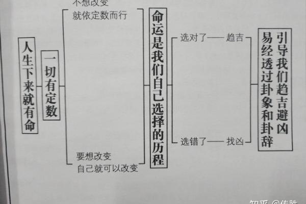 命运决定:这些女人为何选择不结婚的原因解析 命运决定:这些女人为何选择不结婚的原因解析
