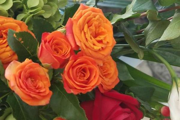 金命人与最佳命理伴侣:如何寻找生命中的真爱? 金命人与最佳命理伴侣:如何寻找生命中的真爱?