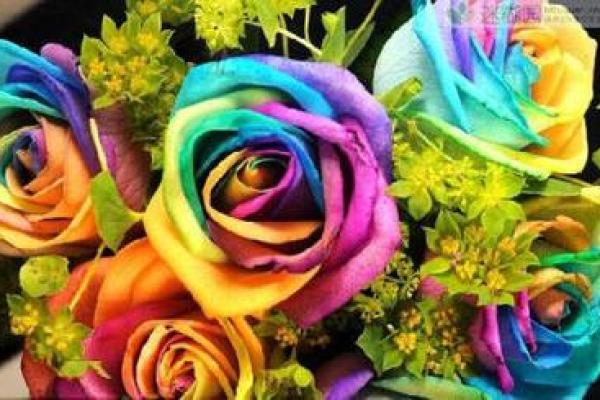 彩虹的象征与命格解读:寻找生命中的七色光辉 彩虹的象征与命格解读:寻找生命中的七色光辉