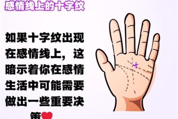 看什么能测出是什么命,揭示人生命运的奥秘与玄机 看什么能测出是什么命,揭示人生命运的奥秘与玄机