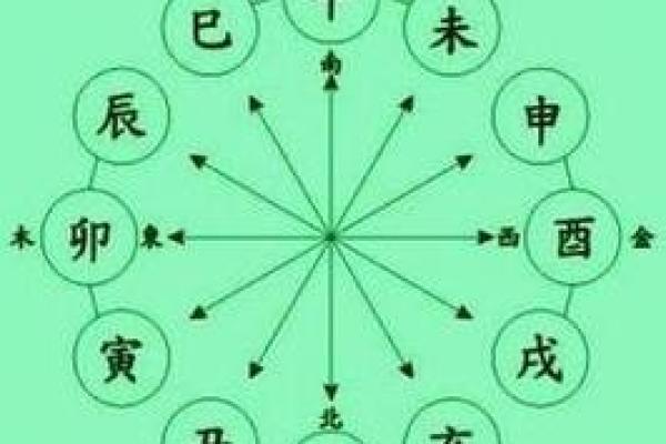 看什么能测出是什么命,揭示人生命运的奥秘与玄机 看什么能测出是什么命,揭示人生命运的奥秘与玄机