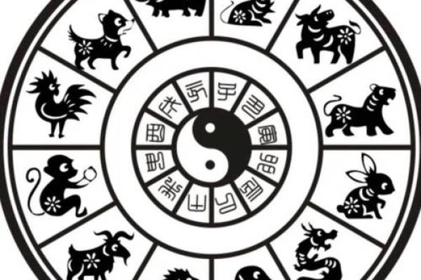 如何通过生肖了解自己的命运与性格特征