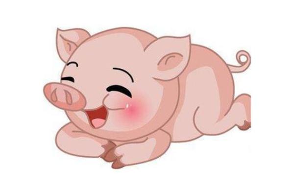 火命属猪的人适合从事哪些行业,职业选择大解析! 火命属猪的人适合从事哪些行业,职业选择大解析!