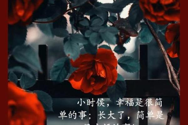 2014数马:探寻命运的奥秘与人生的哲理 2014数马:探寻命运的奥秘与人生的哲理