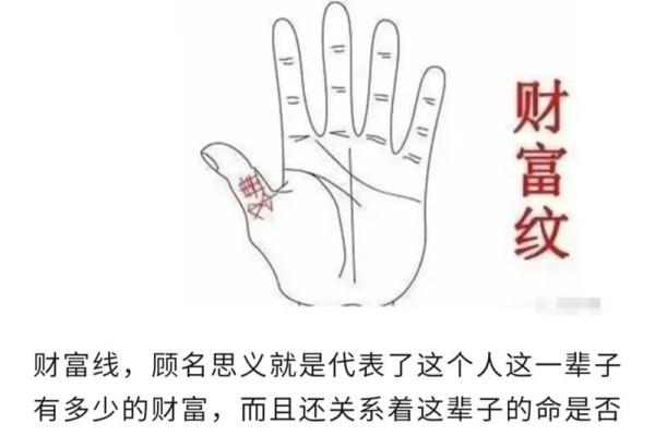 揭秘断掌发财的命理之谜：你的手相揭示了什么？
