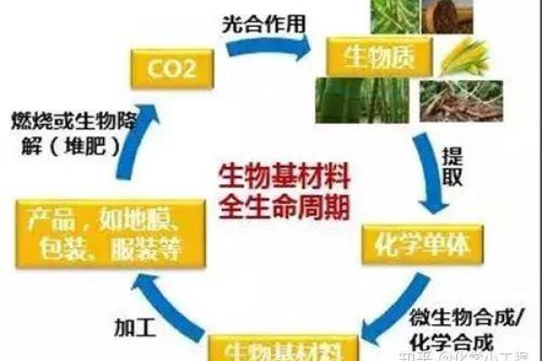 2022年出生的小孩命运解析:助力未来的成长之道 2022年出生的小孩命运解析:助力未来的成长之道