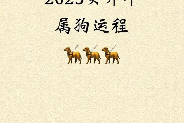 2023年85岁属狗人的命运与生活智慧探讨