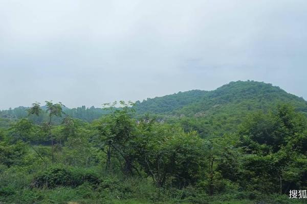 揭开壁上土命的神秘面纱,探索命理的奥秘与人生指导 揭开壁上土命的神秘面纱,探索命理的奥秘与人生指导