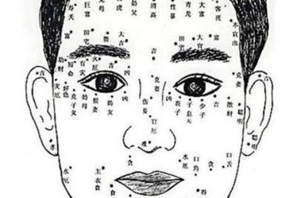 揭示男人的命运秘密:他们究竟属于什么样的命? 揭示男人的命运秘密:他们究竟属于什么样的命?