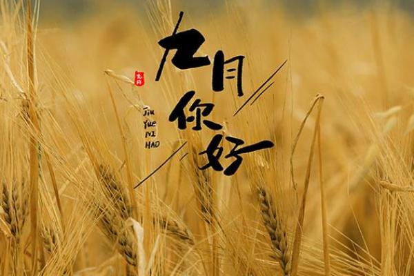 2004年农历出生命运特点:解密你的命理与人生之路 2004年农历出生命运特点:解密你的命理与人生之路