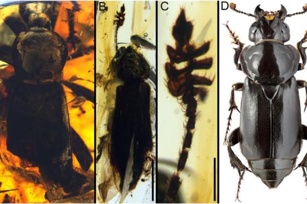 探索命运的奥秘:解密“命转乾坤”的相术智慧 探索命运的奥秘:解密“命转乾坤”的相术智慧