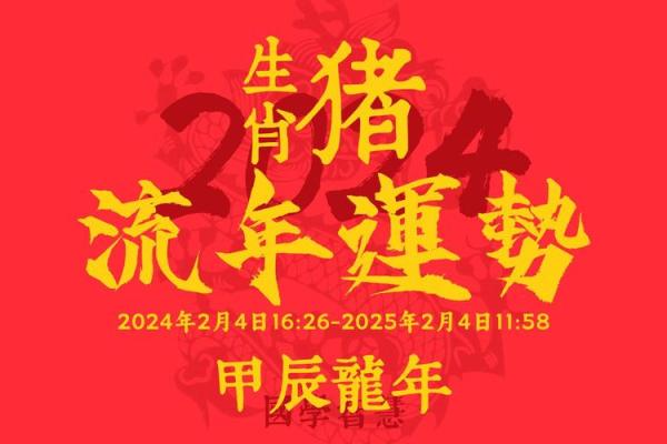 2011年属猪人的命理分析与运势展望 2011年属猪人的命理分析与运势展望