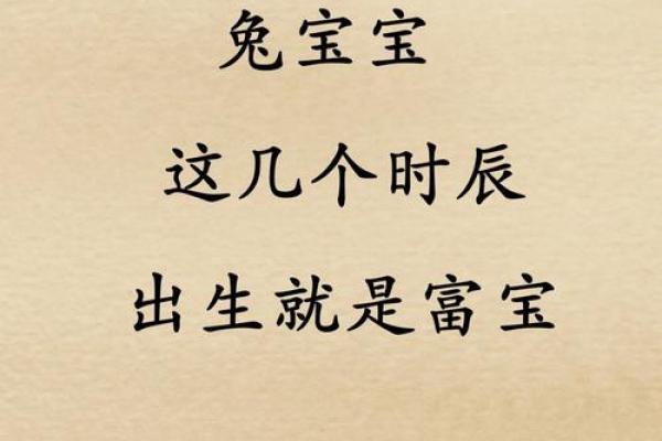 根据出生时辰解析兔宝宝的命理与性格特征之谜