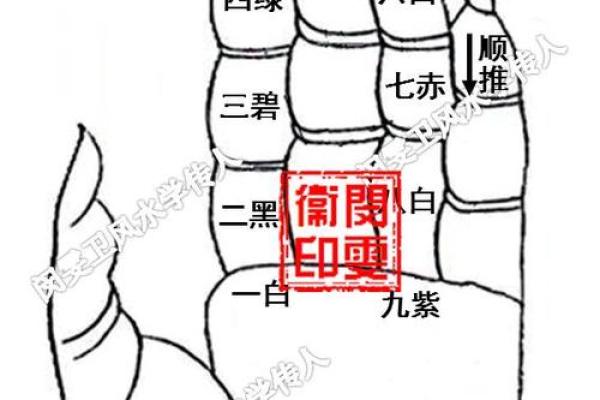 解读命卦中的离卦:东四命的深层含义与人生态度 解读命卦中的离卦:东四命的深层含义与人生态度