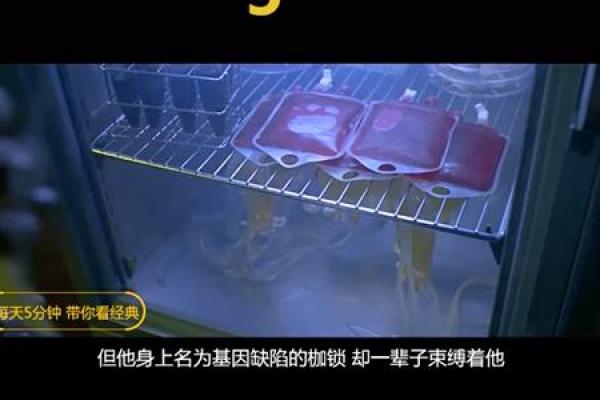 父亲命短后代命短的真相与思考:基因与命运的辩证关系 父亲命短后代命短的真相与思考:基因与命运的辩证关系