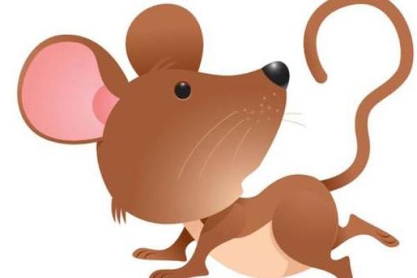 探秘土命:土命与生肖及动物的深层联系 探秘土命:土命与生肖及动物的深层联系