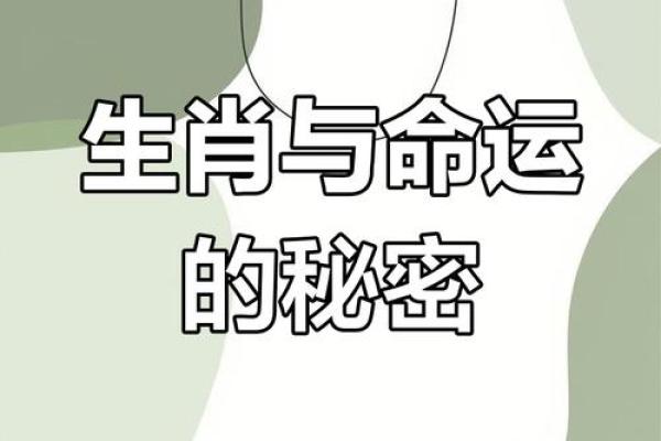 36岁属相与命运的秘密：探究生肖与人生的关系
