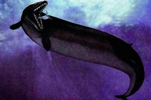 探秘命水生输的深刻含义与生活启示