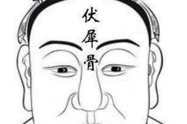 天庭饱满的人，命运之路的秘密与启示