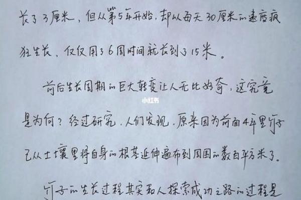 1965年出生的人命运与性格解析：探索不平凡的一生