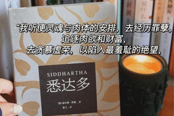 探究生肖与命运：揭示你的命格与人生轨迹的真相