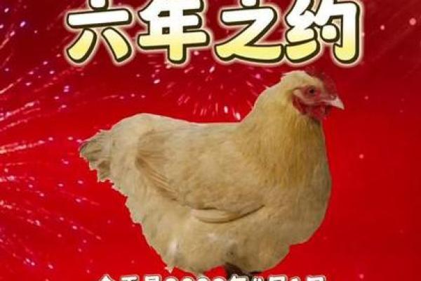 2023年：鸡年命最佳的秘密与生活之道