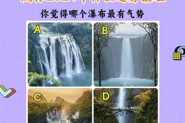 2024龙年运势：探索木命之道，开启富贵人生新篇章！