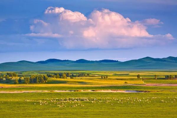 探索男命大运与子女缘分的奥秘