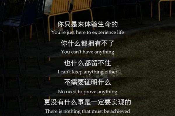 命不薄，缘随天意：探索人生的深意与哲学思考