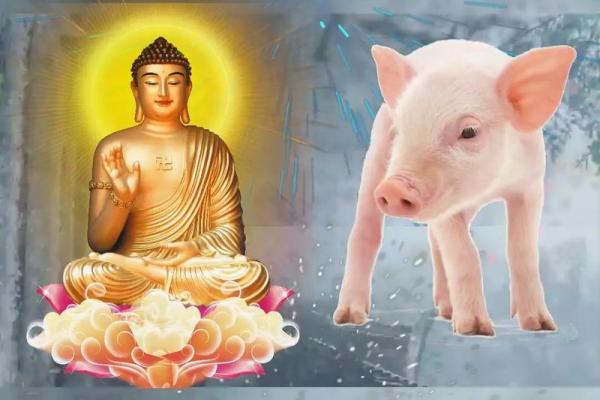 1995年属猪的命运解析：开启幸福人生的财富之路