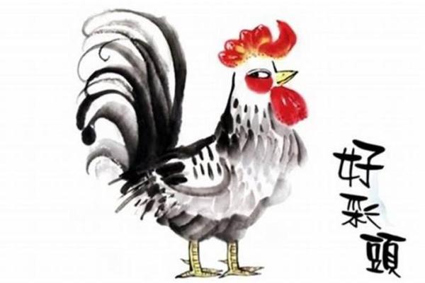 探秘属鸡生肖：八字命理与命运分析