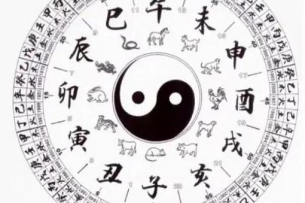 一九九一年属什么命？解析1991年出生人的命理特征与人生方向