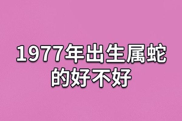 77年属蛇男人的命运解析：智慧与挑战的交织之旅