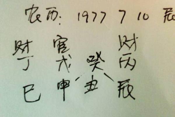 七八年出生的人命运：探析命理与人生的交织之美