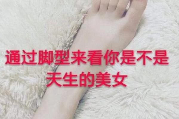 探索德意志脚型:了解你的脚型与健康的秘密 探索德意志脚型:了解你的脚型与健康的秘密