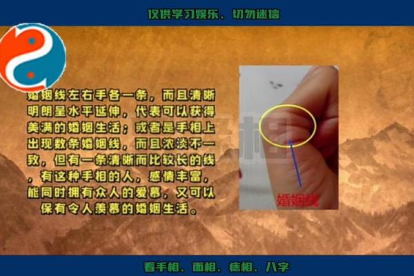 揭秘多情命:女人手相中的情感密语 揭秘多情命:女人手相中的情感密语