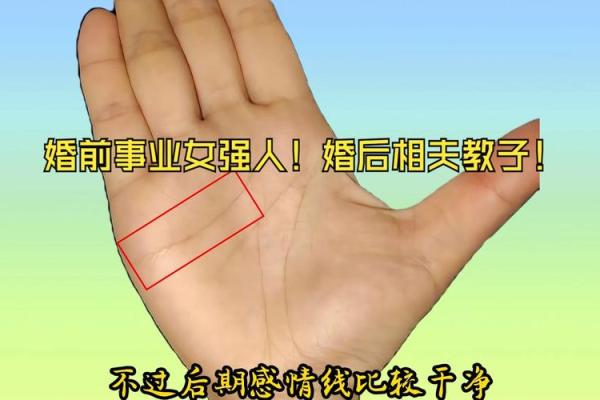 揭秘多情命:女人手相中的情感密语 揭秘多情命:女人手相中的情感密语