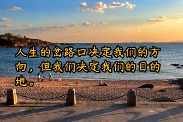 谦谦君子与手相命理：解读你的未来与命运
