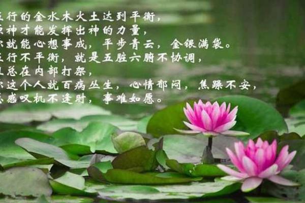 水命人的植物选择：养生与风水双丰收的秘密