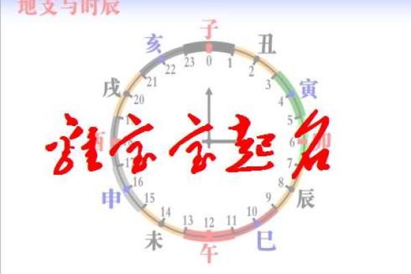 2017年鸡年出生的人：命理解析与性格特点全面分析
