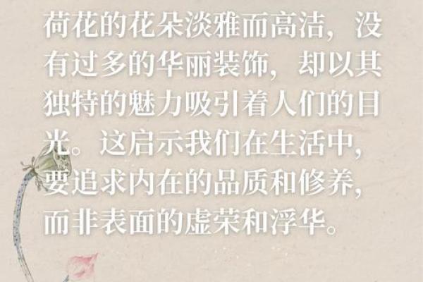 探索荷花命的深意:从寓意到人生启示 探索荷花命的深意:从寓意到人生启示